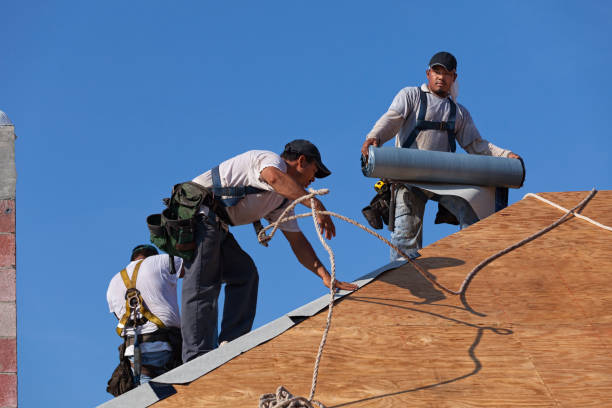 Best Gutter Installation and Roofing  in St Paul, VA