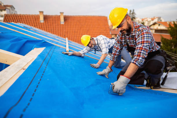 Best Storm Damage Roof Repair  in St Paul, VA