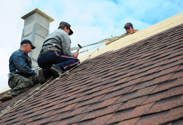 Best Affordable Roofing Company  in St Paul, VA